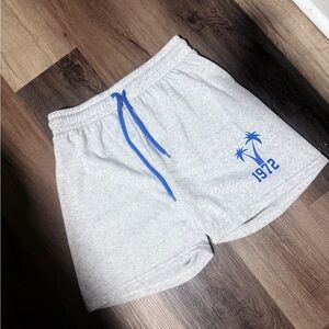 Gray Athletiv Shorts Men Size M 1972 Palm Tree Retro Graphic Blue Drawstring Gym